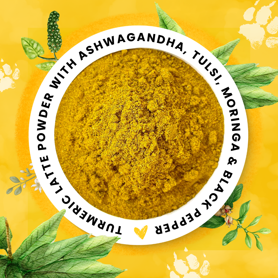 Turmeric Shakti – A Golden Blend for Wellness and Vitality